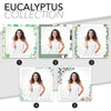 Eucalyptus Collection