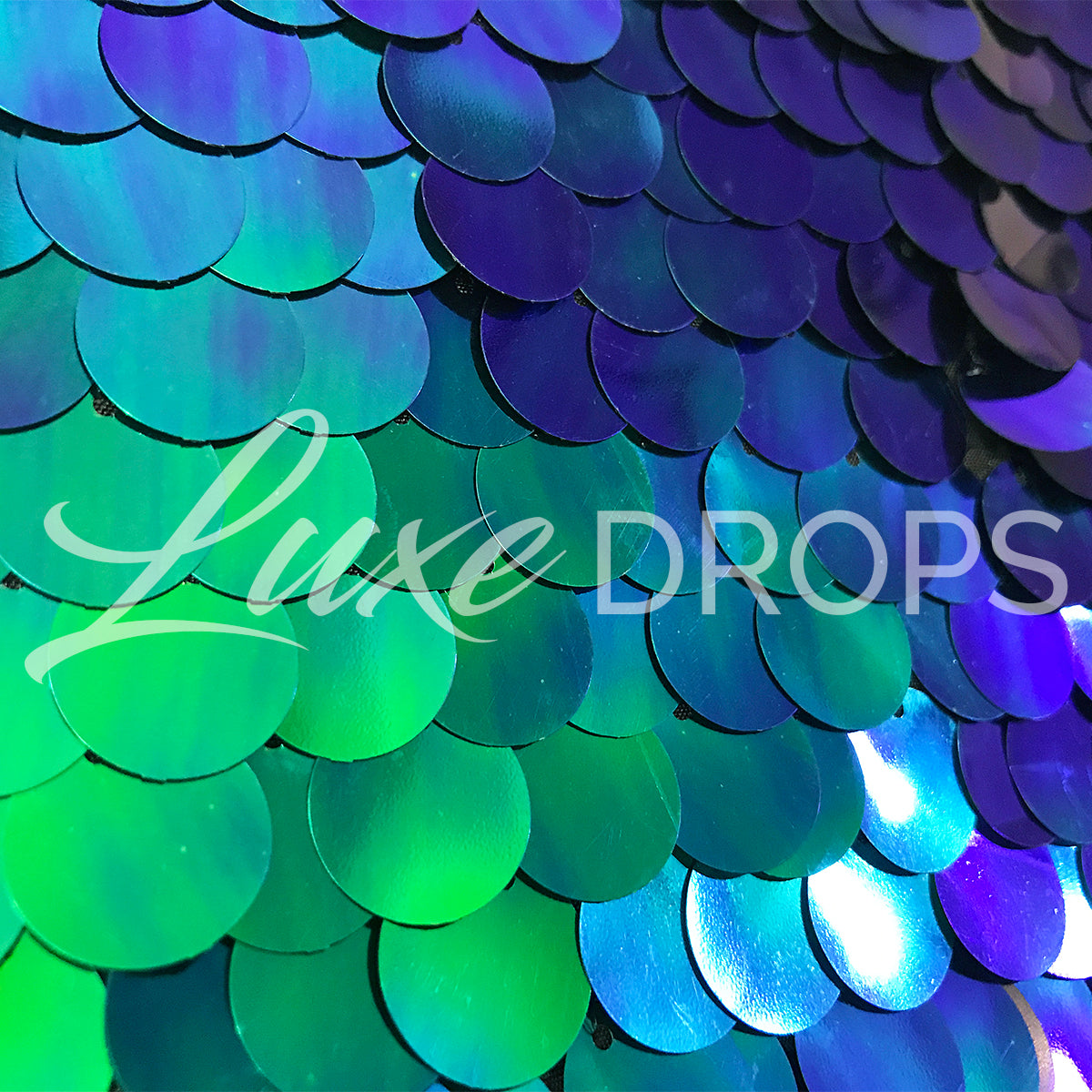 Two Backdrop Combo Pack