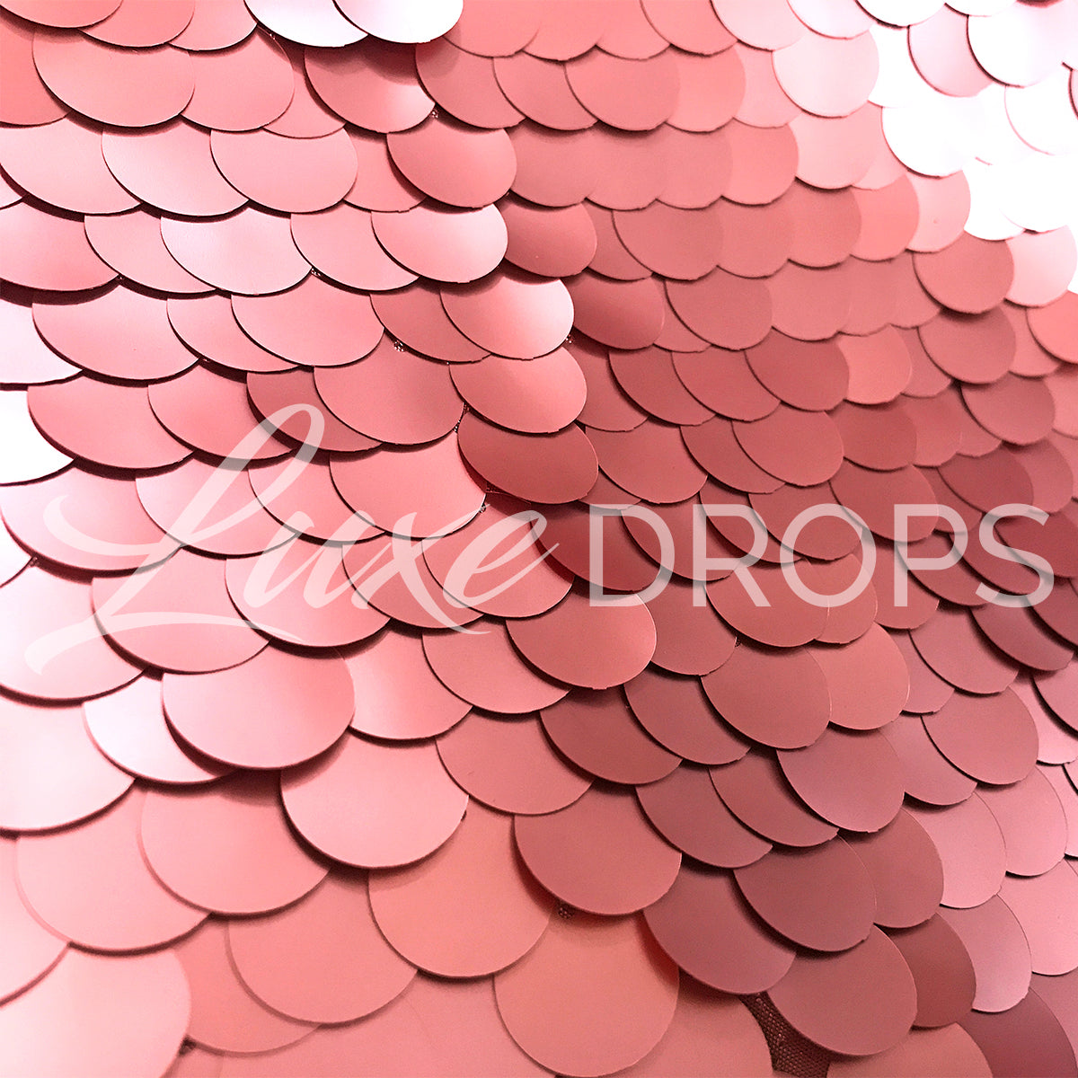 Two Backdrop Combo Pack