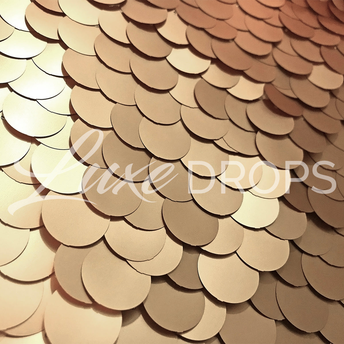 Two Backdrop Combo Pack