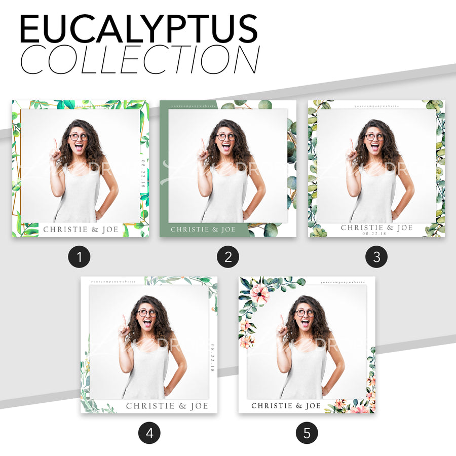 Entire Eucalyptus Collection